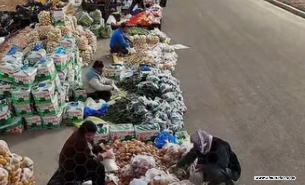 بالفيديو... توزيع مساعدات غذائية مجانية للعوائل المتعففة في بابل